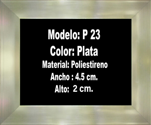 Modelo P23