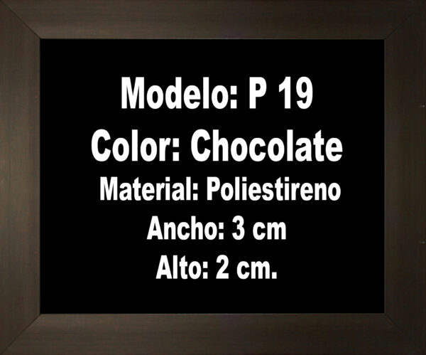 Modelo P19
